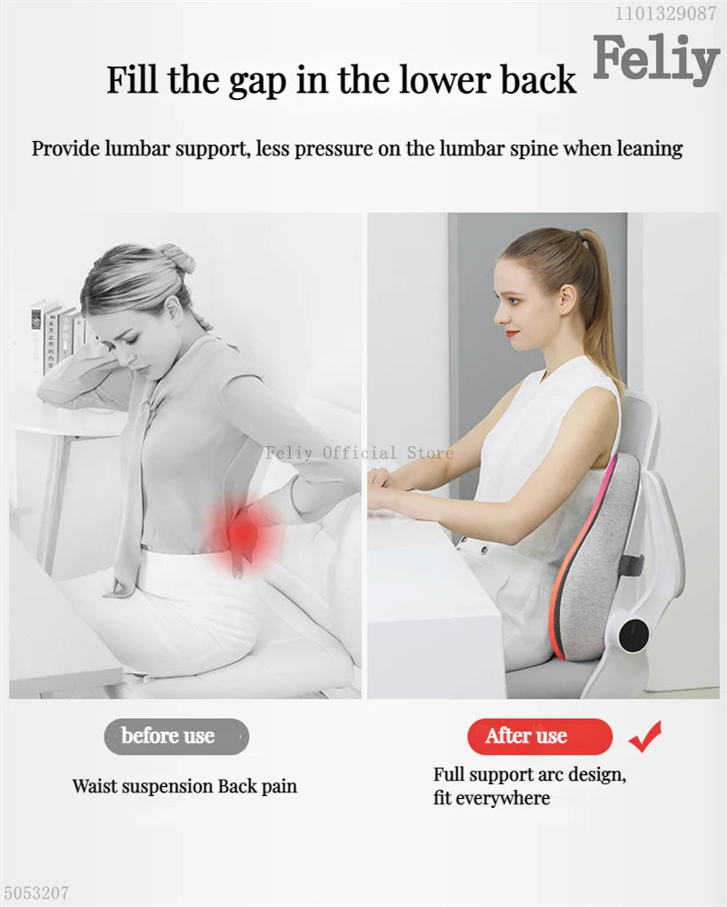 Back Support Curve