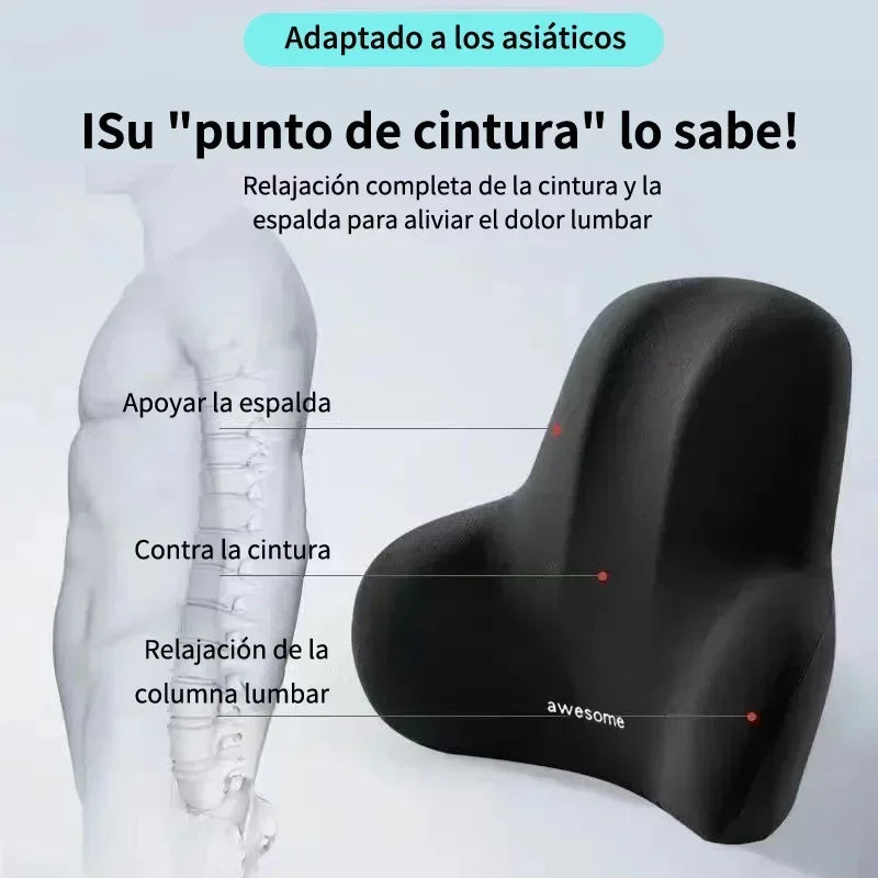 Lumbar Cushion Align