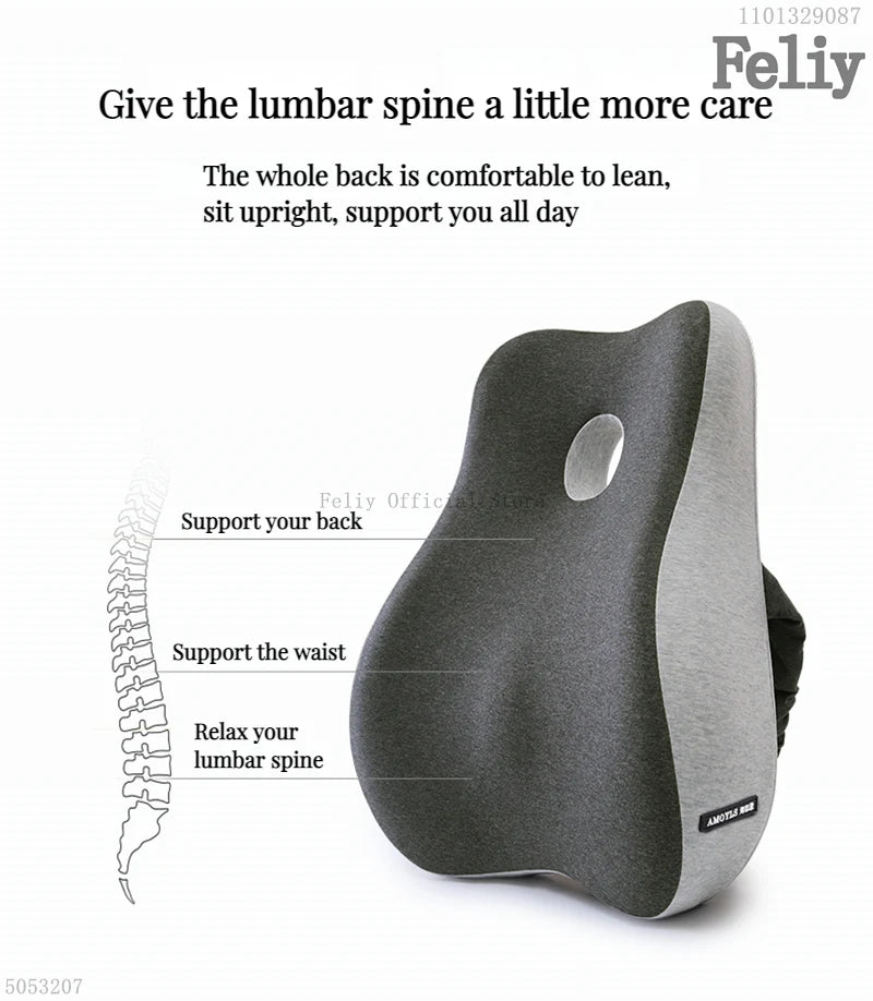 Back Support Curve