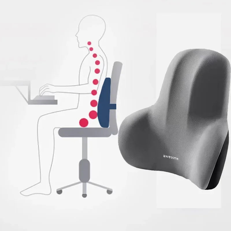 Lumbar Cushion Align