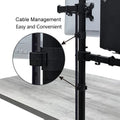 Monitor Arm Duo