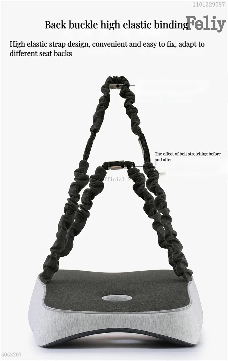 Back Support Curve