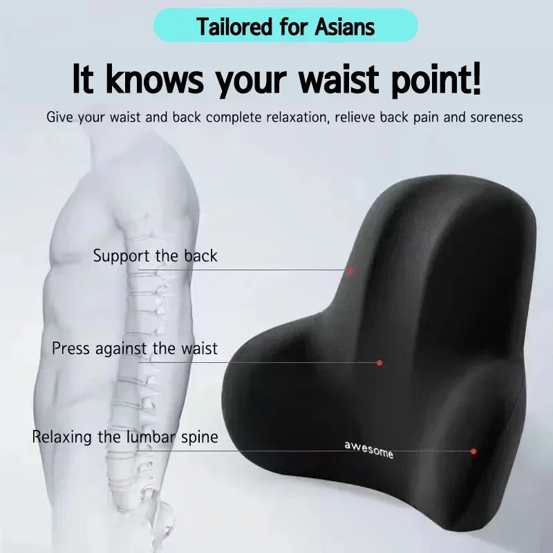 Lumbar Cushion Align