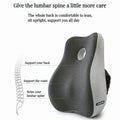 Back Support Curve