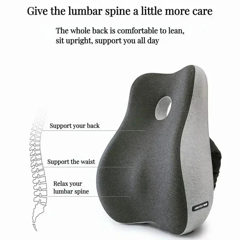 Back Support Curve