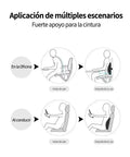 Lumbar Cushion Align