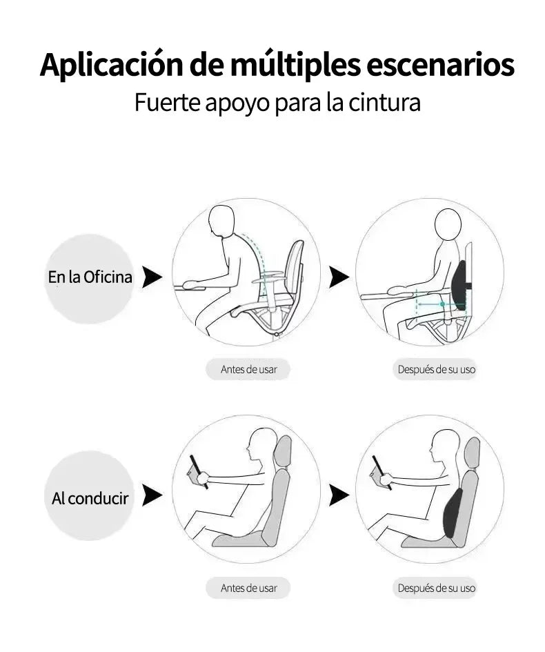 Lumbar Cushion Align