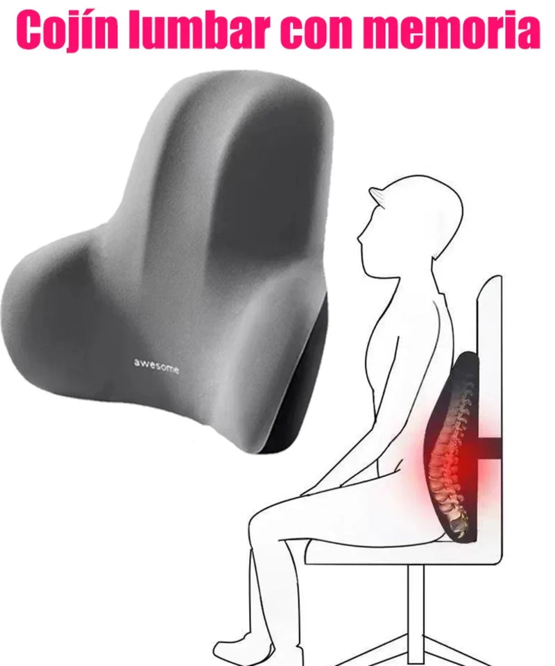 Lumbar Cushion Align